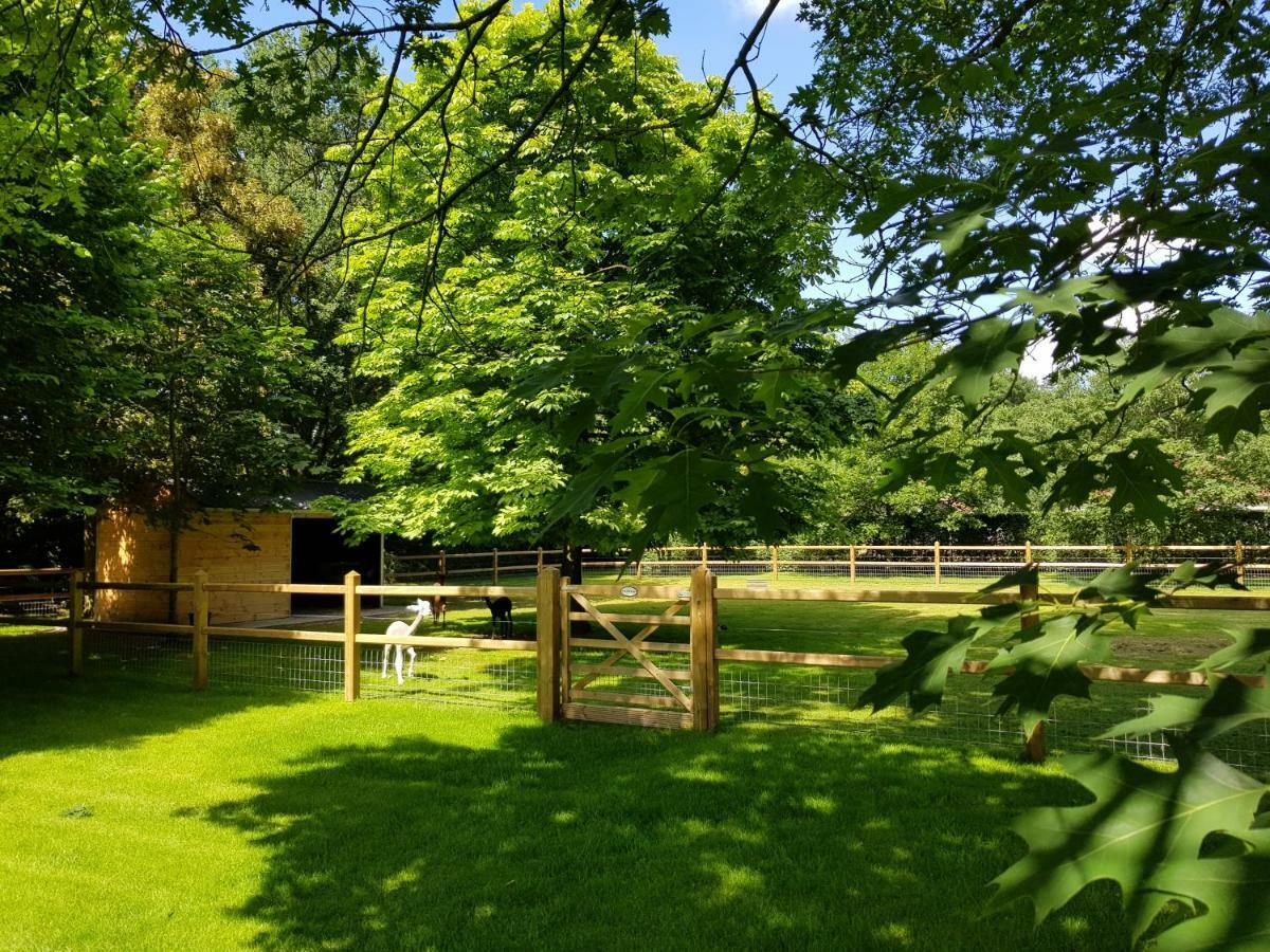 The Two Oaks - Private Garden For Guests Villa Hertsberge Bagian luar foto